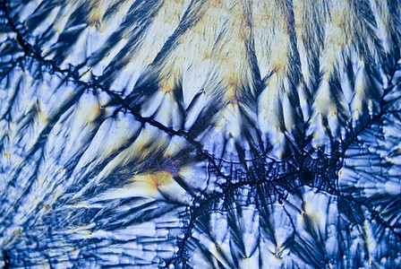 Ascobrec酸微晶体照片微晶水晶冥想极化结晶显微镜精力活力招魂图片