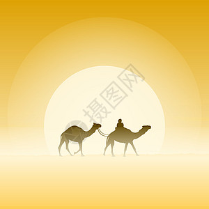 两只骆驼和太阳图片