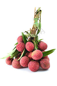 柳叶水果庄稼食物红色植物荔枝健康饮食热带背景图片