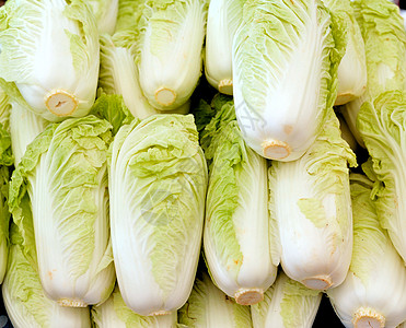 白菜绿色市场食物蔬菜图片