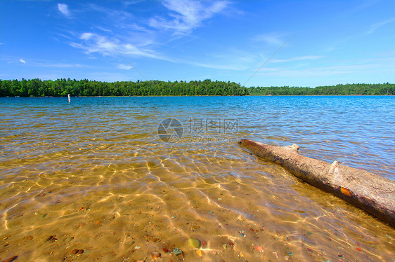 威斯康星州北木林游泳海滩图片