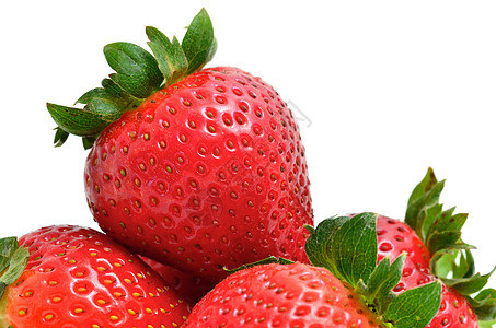 草莓食物红色水果浆果背景图片