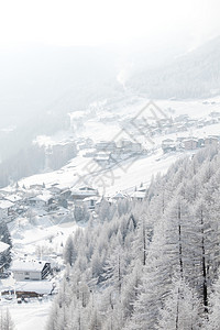 积雪中的森林场景季节高地木头公园首脑气候全景天气降雪图片