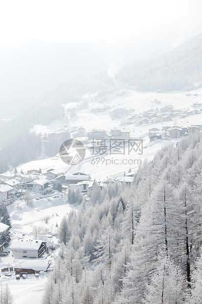 积雪中的森林场景季节高地木头公园首脑气候全景天气降雪图片