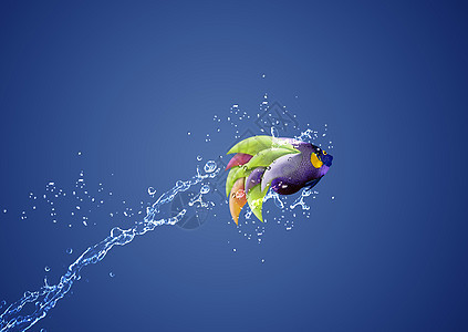 天使鱼跳跃液体宠物寂寞玩意失败水族馆新生活商业气泡勇气图片