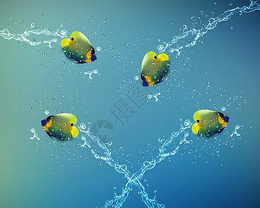天使鱼跳跃金子假期勇气风险运动气泡幸福飞溅飞行挑战图片