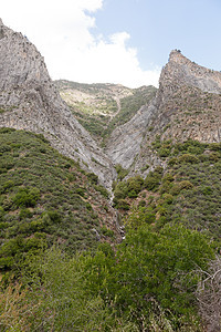 峡谷国王晴天森林公园绿色红杉崎岖荒野风景红木国家图片