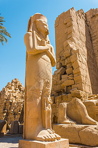 埃及卡纳克寺庙古老废墟人面艺术古物国王柱子旅游建筑学上帝象形石头图片