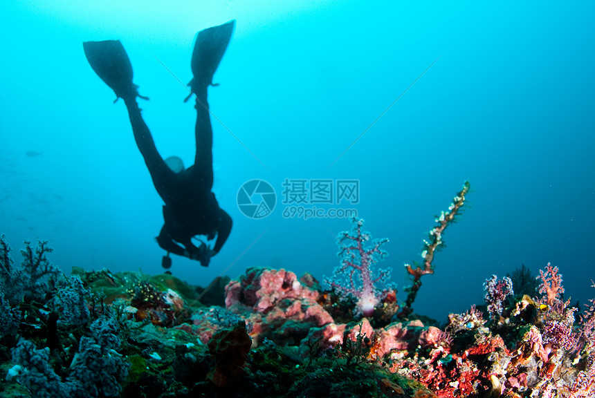 Scuba 潜水员珊瑚海洋红色浮潜蓝色运动绿色旅行岩石娱乐图片