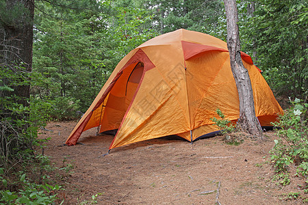 Algonquin的橙色帐篷图片