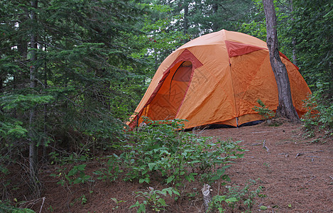 Algonqui 橙色帐篷图片
