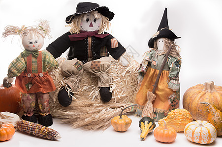 稻草人家庭小麦蔬菜篮子草堆帽子收成白色乌鸦童话节日图片