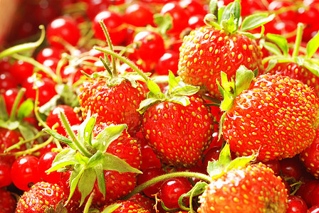 篮子中的红草莓和草莓图片