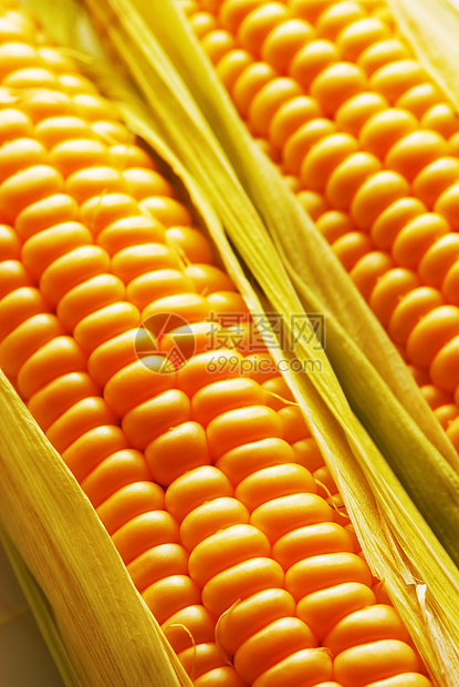 玉米角小吃绿色活力花园食物黄色棒子水果内核叶子图片