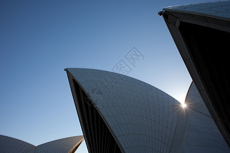 悉尼歌剧院详细视图顶峰港口太阳蓝色音乐会旅行控制板天空瓷砖图片