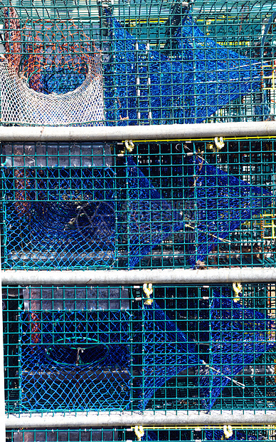 龙虾陷阱浮标海岸蓝色笼子图片