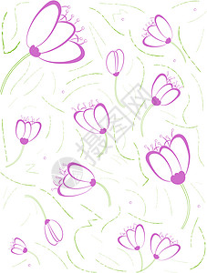 无缝的郁金图案花瓣绿色白色插图包装艺术绘画植物季节纺织品图片