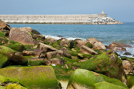 西班牙吉普兹科亚祖马亚的岩石绿色海洋石头晴天国家图片