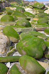 西班牙吉普兹科亚祖马亚的岩石国家绿色苔藓石头晴天海洋图片