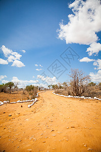 萨瓦纳公路风景蓝色旅行环境小路公园旅游荒野大草原地平线图片