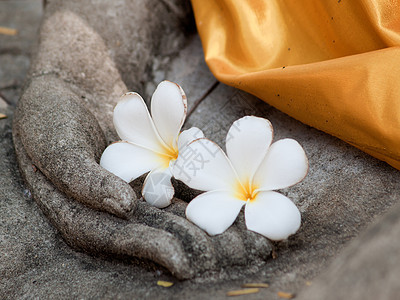 古老的布泽佛像手上的花朵热带业力灰色雕塑石头偶像雕像宗教智慧信仰图片