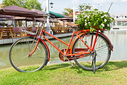 绿色草地上的红色自行车图片