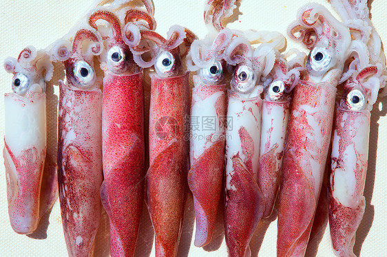 捕获后新鲜鱿鱼洛利戈粗俗市场动物喷射食物海洋乌贼甲板触手烹饪橙子图片