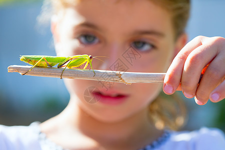 女孩儿 看着祈祷的天经人造自然生物学家天线昆虫女孩漏洞动物冒险危险金发好奇心食肉图片