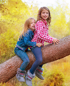 孩子们朋友朋友女孩爬到松树树干姐妹假期恶作剧孩子幸福森林享受乐趣公园朋友们图片