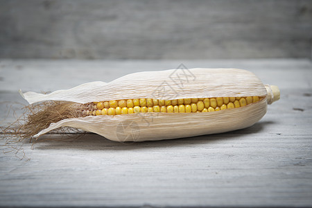 木头背景的玉米耳朵收成燃料种子果皮营养爆米花谷物棒子宏观家畜图片