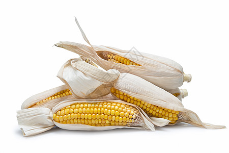 白种背景上的玉米耳朵营养果皮玉米芯基因种子生物家畜静物粮食水果图片