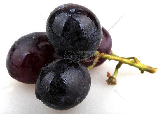 黑葡萄藤蔓卷须甜点收成蓝色水果生长食物浆果眼泪图片
