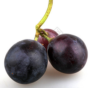 黑葡萄生长眼泪果味藤蔓果汁浆果食物圆形卷须甜点图片