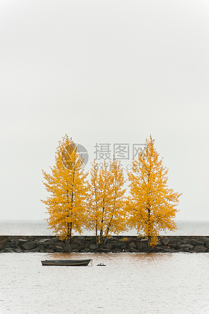 港湾的秋色树码头反思风景木头橙子环境植物孤独天空乡村图片
