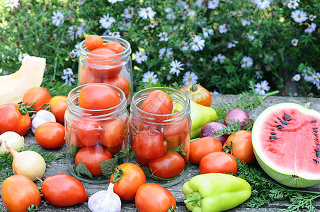 在家里煮番茄生长蔬菜茴香黄瓜营养玻璃贮存花园香料草本植物图片
