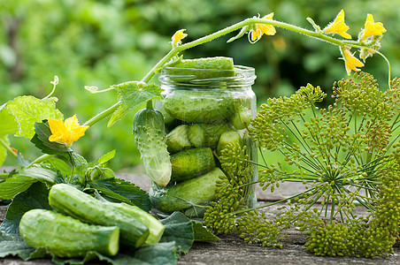 家里的黄瓜罐头食谱收成美食茴香食物产品维生素宏观玻璃香料图片