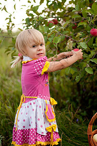 2 5年的小女孩摘苹果篮子女性童年食物婴儿金发女郎房子花园裙子水果图片
