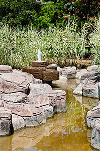 景观美化     石泉和池塘岩石绿色石头花园绿化热带公园园林植物棕榈图片