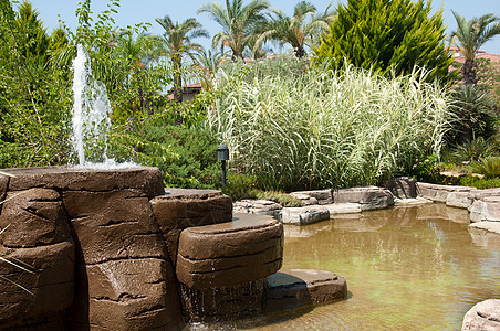 景观美化     石泉和池塘花园水池植物院子棕榈瀑布石头建筑学太阳园艺图片