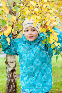 秋天 一个男孩在树林里儿子公园树木童年树叶游戏金子青年木头叶子图片
