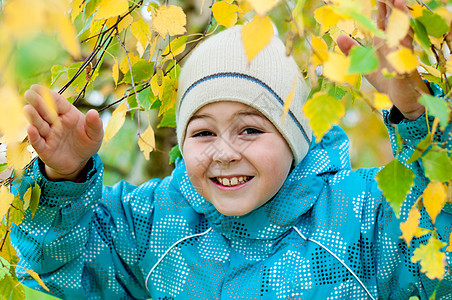 秋天 一个男孩在树林里树木儿子金子夹克童年森林游戏树叶桦木孩子图片