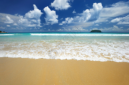 海滩海景游客边缘假期天空海浪蓝色风景黄色地平线图片