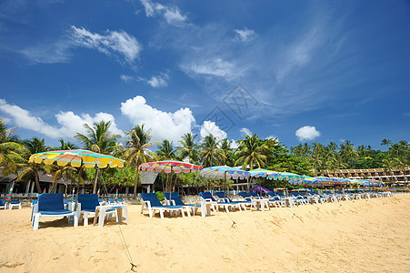 海滩休息室海浪海岸线黄色海洋风景游客旅行地平线蓝色图片