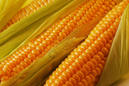 玉米角活力燃料花园叶子食物内核水果宏观小吃收获图片