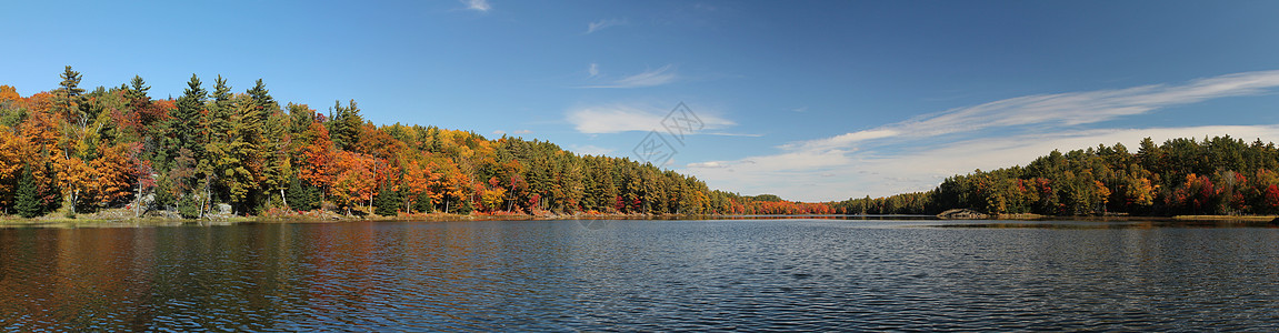 湖和秋季森林全景照片图片
