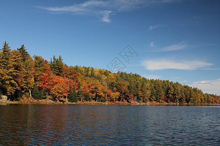 湖和秋树 以平静的水为反响图片