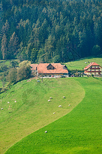 农场在山丘上图片