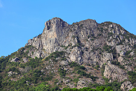 狮子摇滚精神晴天天空地标岩石爬坡绿色城市蓝色头脑图片