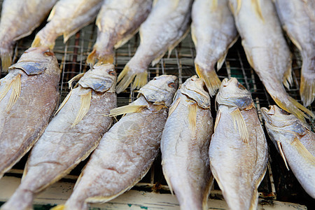 咸盐鱼野生动物烹饪咸鱼食物盐渍海洋海鲜食品图片