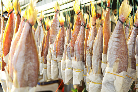 咸盐鱼食品海洋食物烹饪海鲜咸鱼盐渍野生动物图片